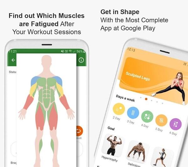 gym wp premium apk latest version